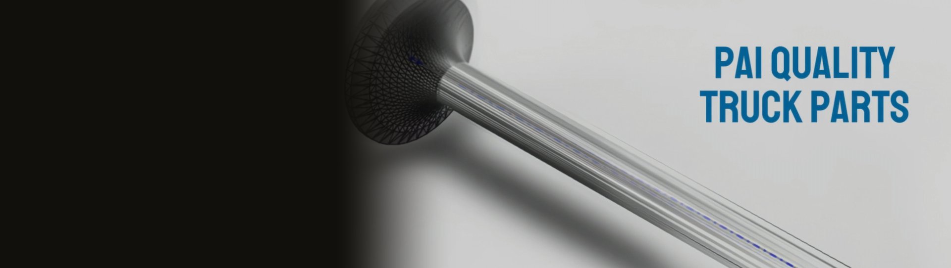 PAI quality truck parts engine valve